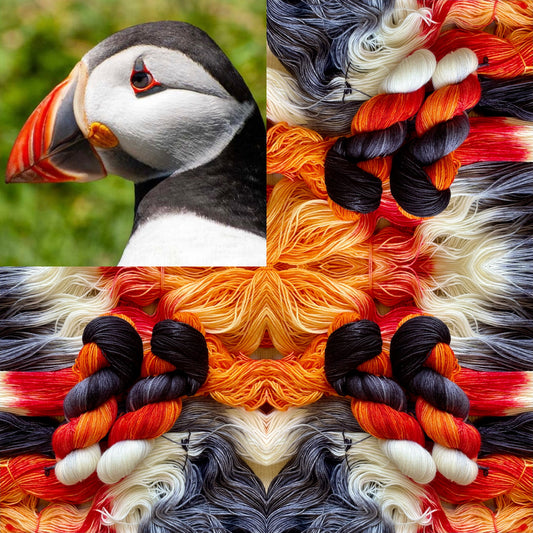 Atlantic Puffin