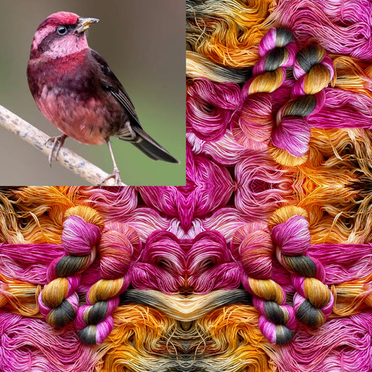 Dark-Breasted Rosefinch
