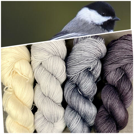Black-capped Chickadee Kit
