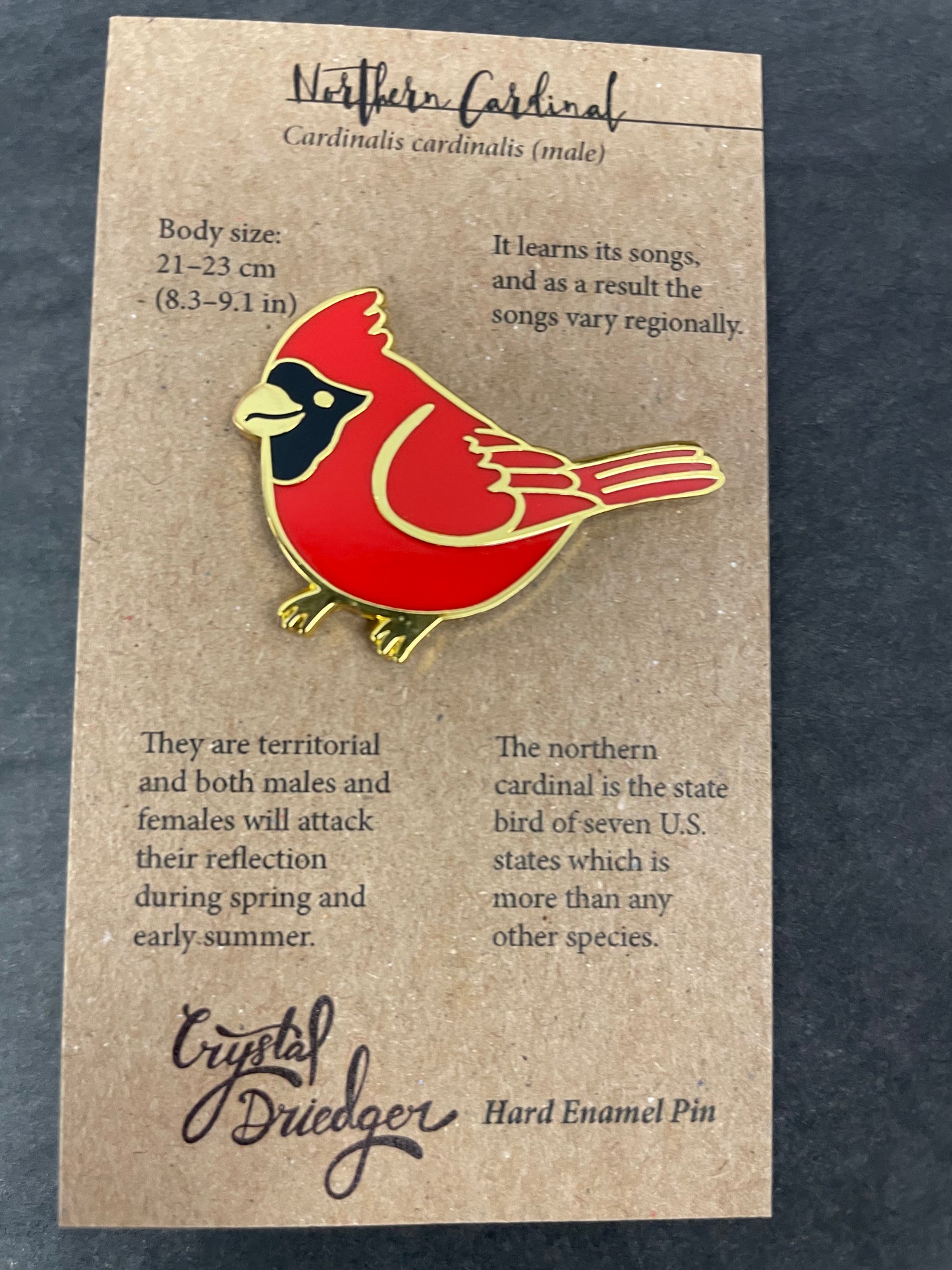Northern Cardinal Pin
