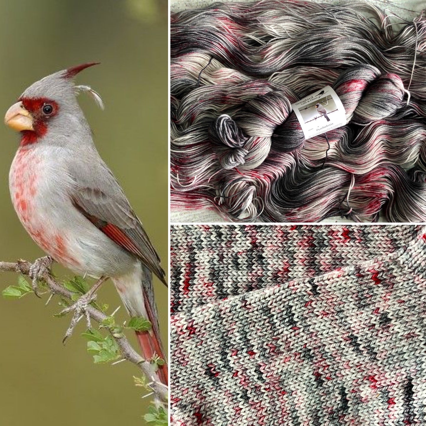 Pyrrhuloxia