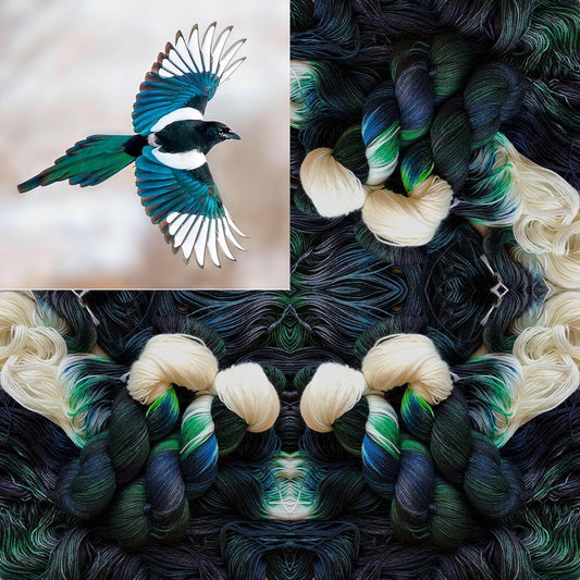 Black-billed Magpie