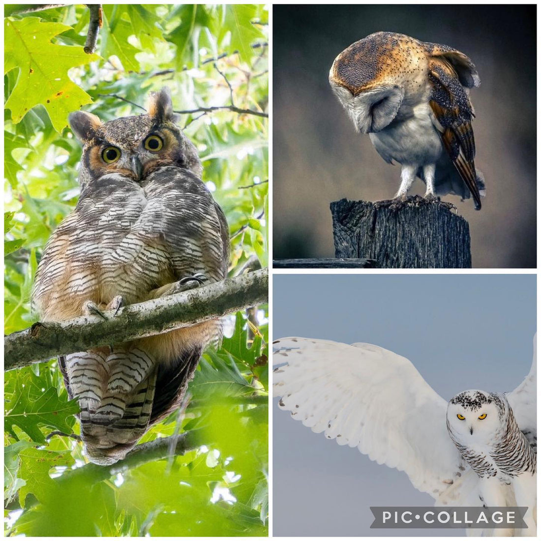 Are you looking at m
