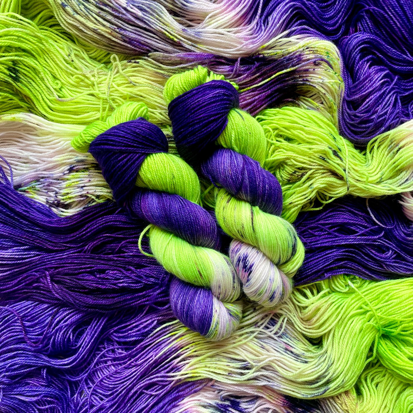 Purple-backed Thornbill