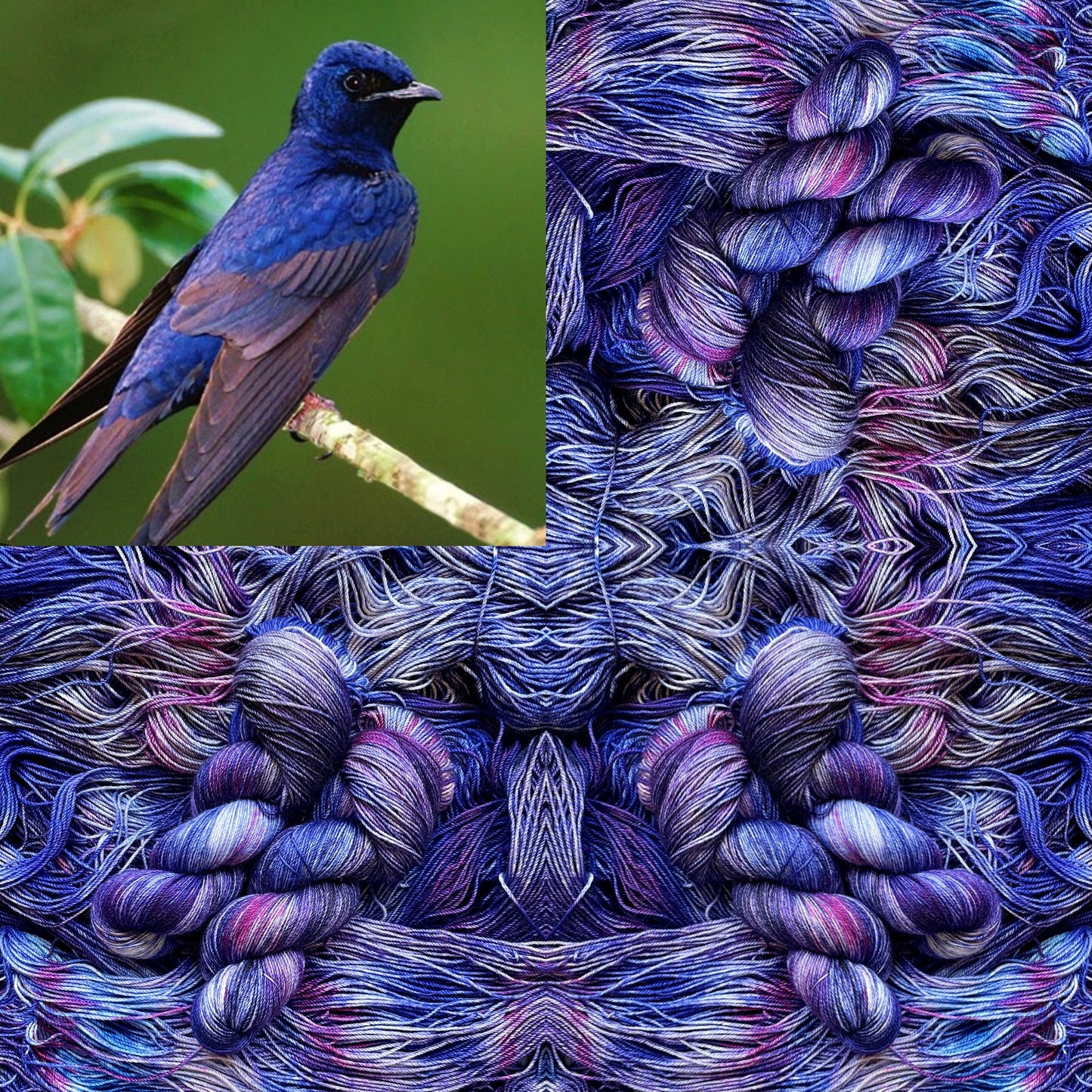 Purple Martin