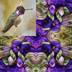 Costa's Hummingbird