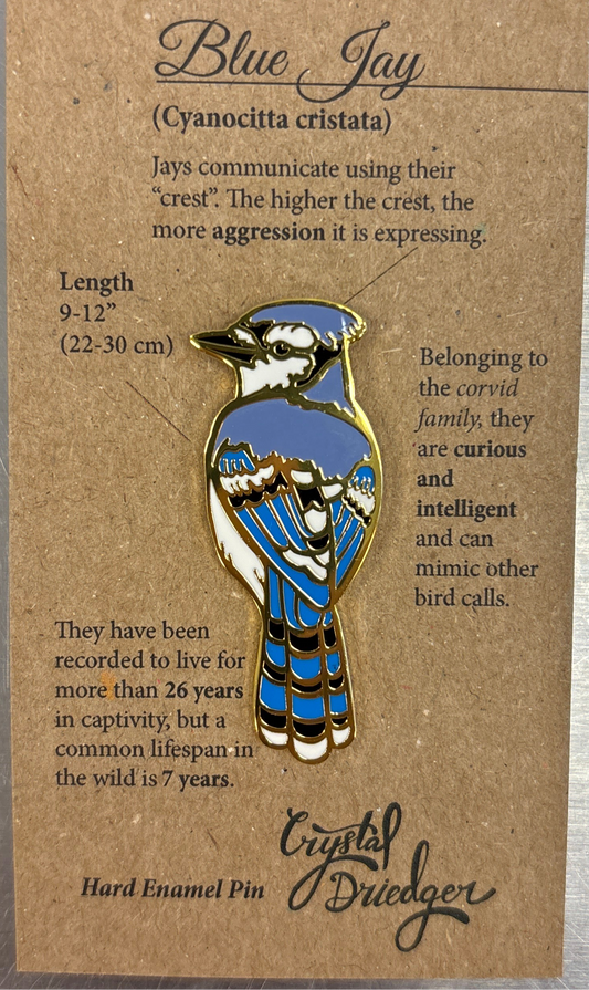 Blue Jay Pin