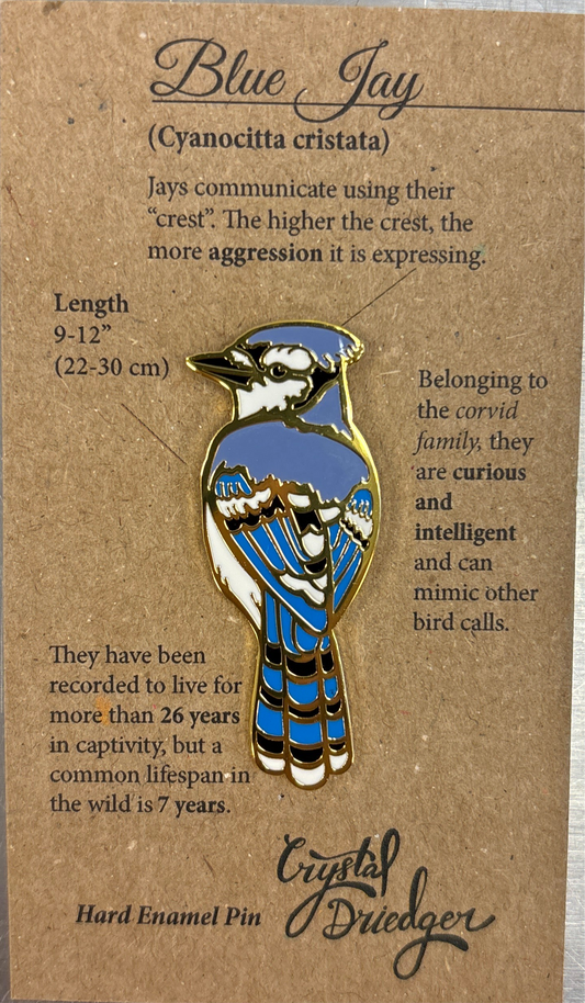 Blue Jay Pin