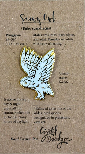 Snowy Owl PIN