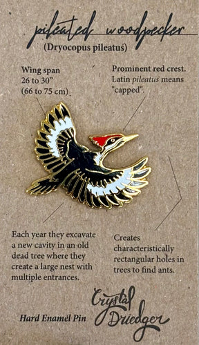 Pileated Wodpecker PIN