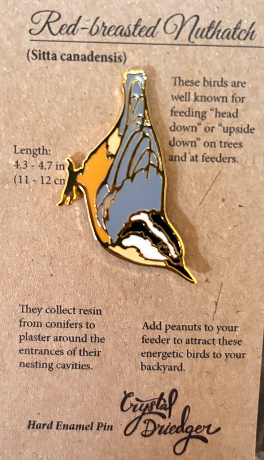 Red-breasted Nuthatch PIN