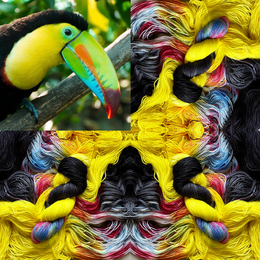 Keel-Billed Toucan