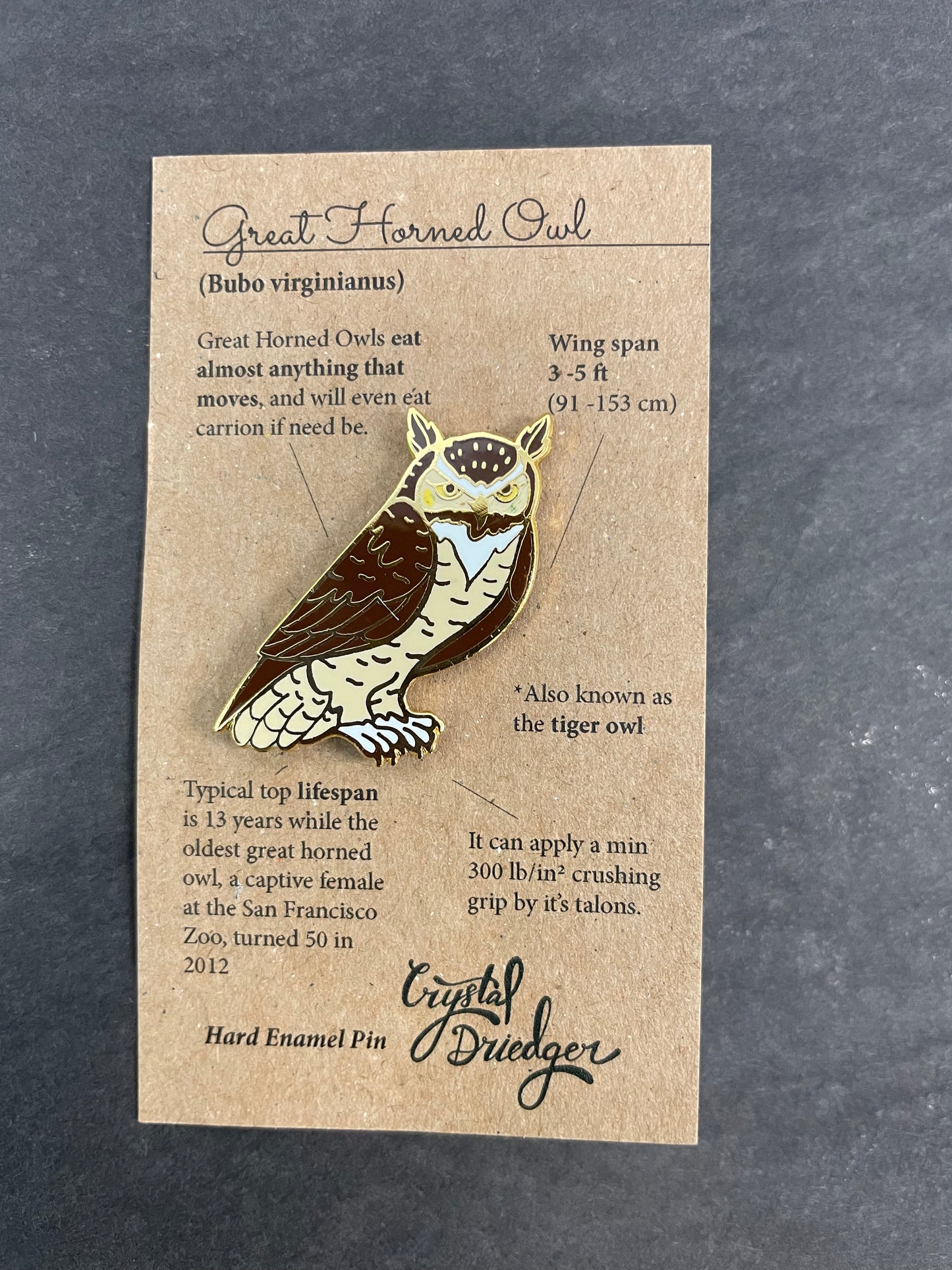 Great Horned Owl Pin