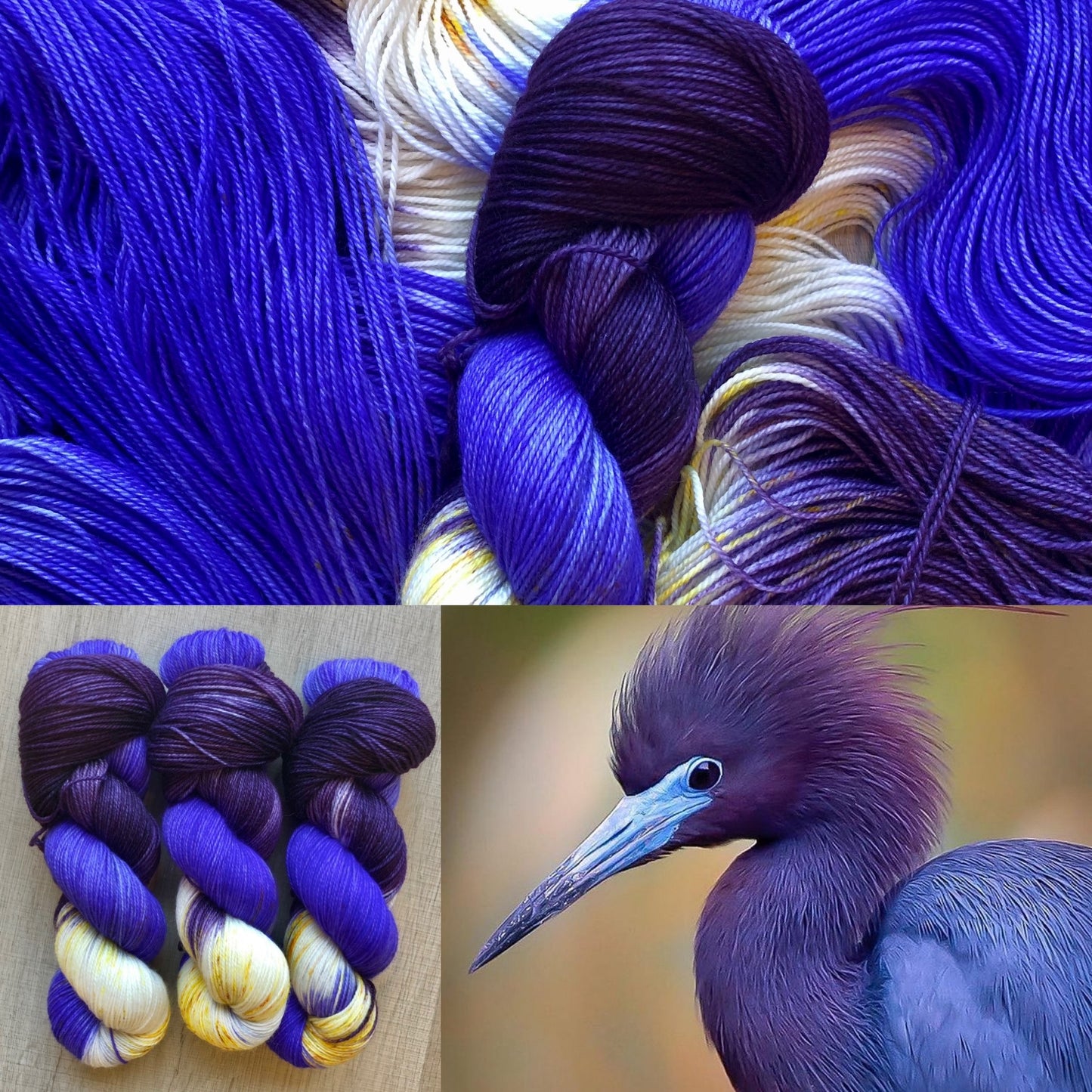 Little Blue Heron