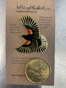 Red-winged Blackbird PIN
