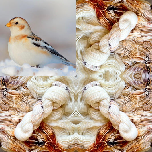Snow Bunting