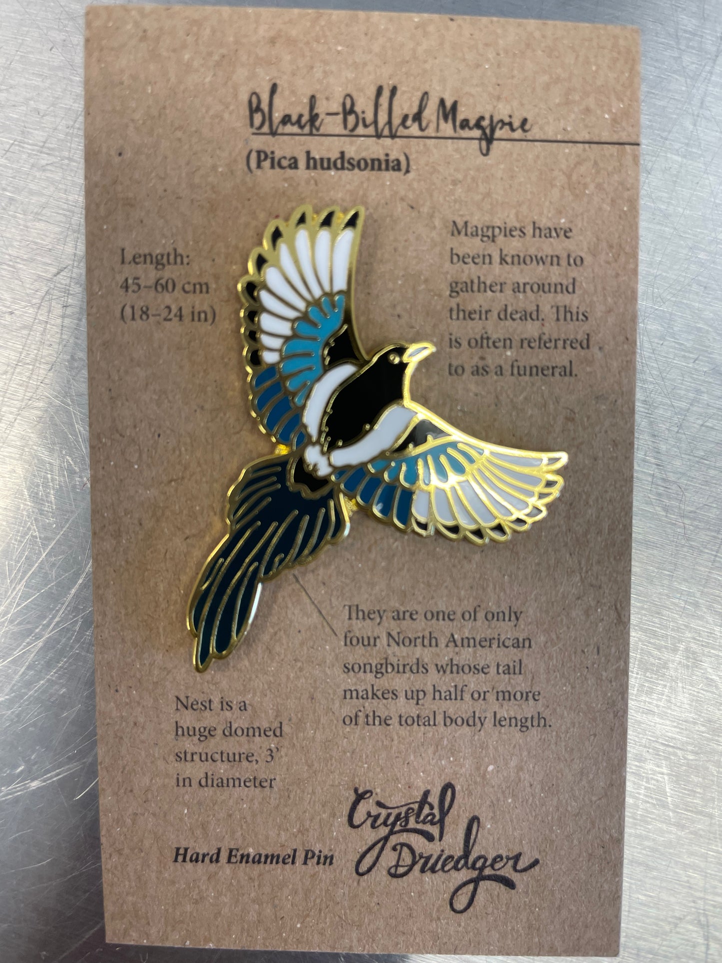 Black-billed Magpie PIN