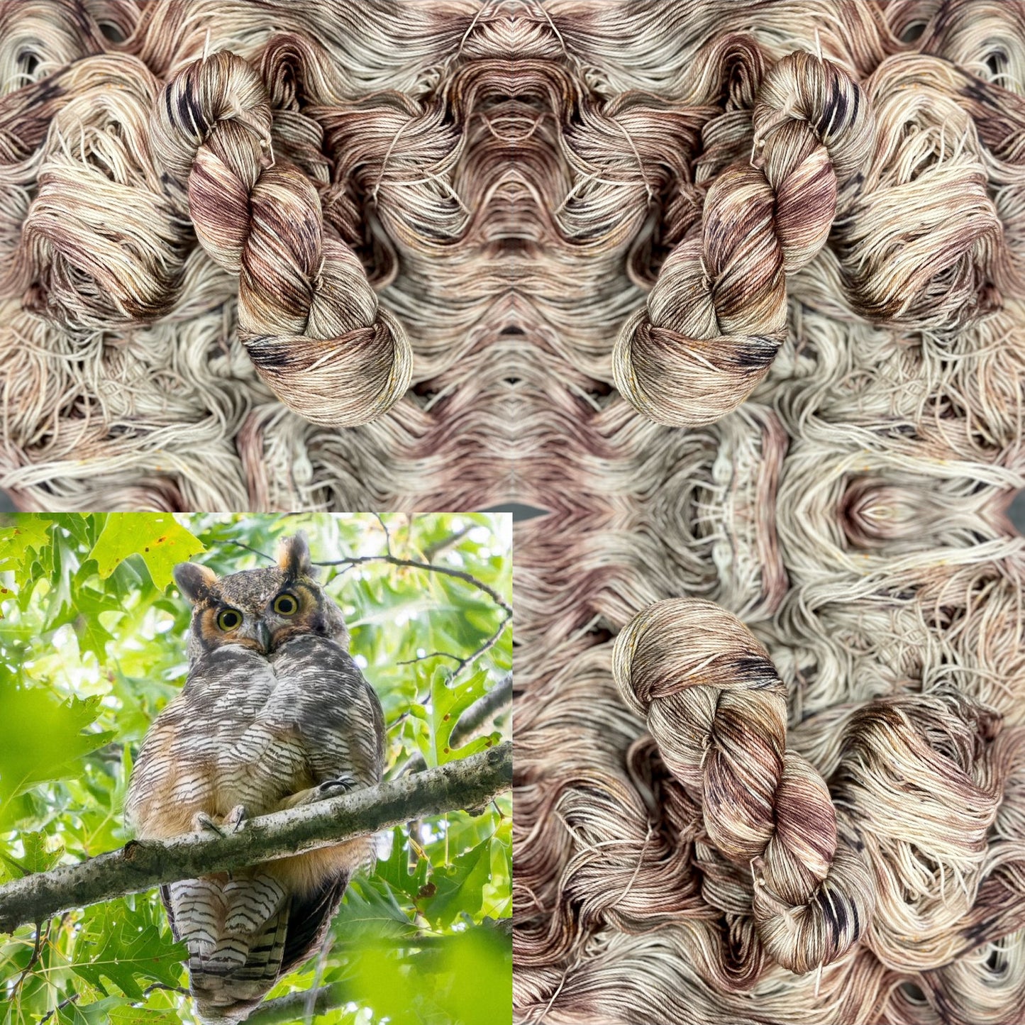 Great Horned Owl
