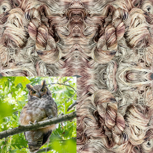 Great Horned Owl