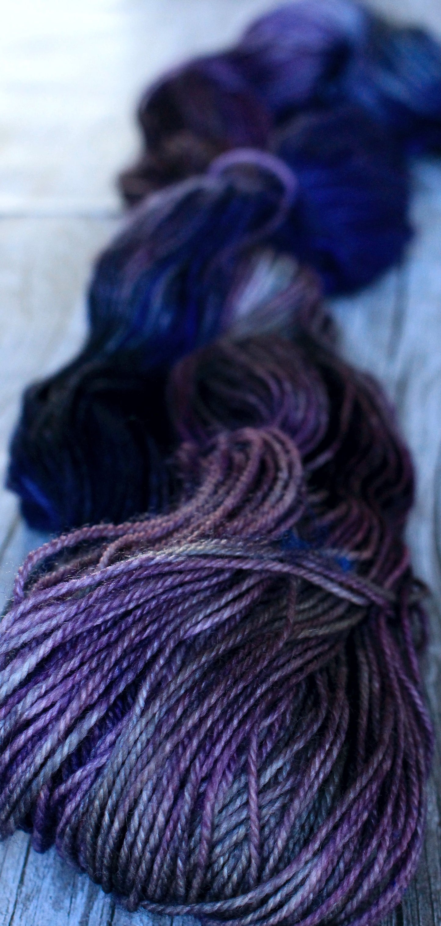 Purple Martin