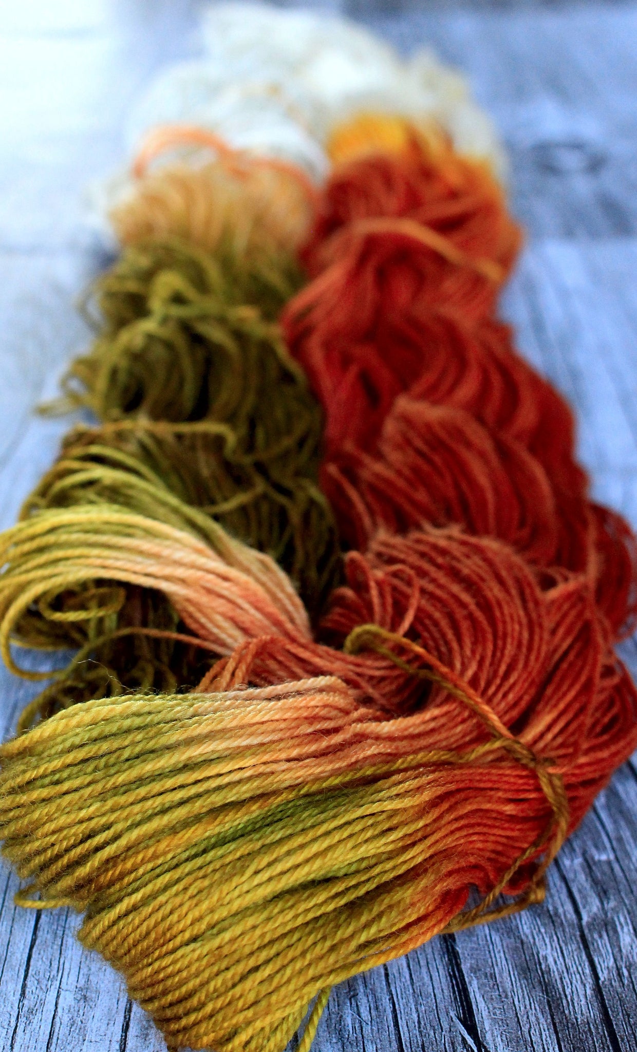 European Robin – Songbird Yarn & Fibres